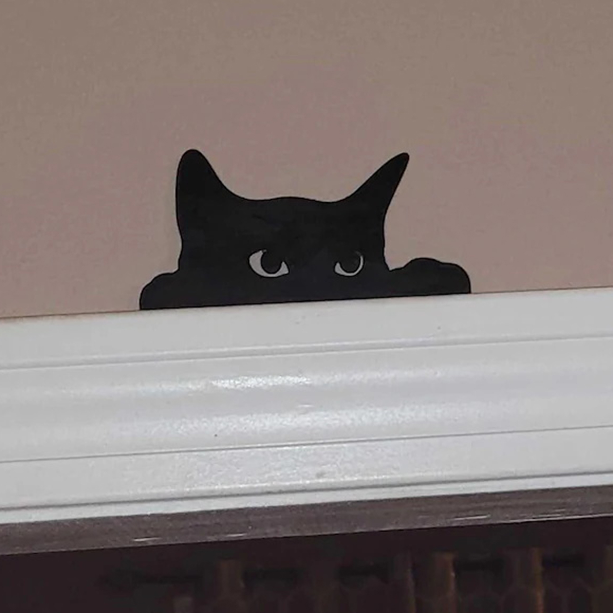 1 Pc Cat Looking Up Door Toppe - Kitchen Up 评论和价格